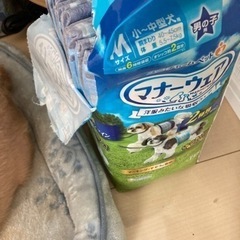 買って下さい