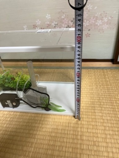 水槽