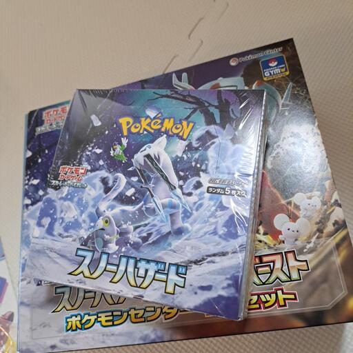 ポケモンカードSV スノーハザード