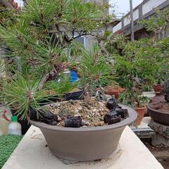 圏外　伊是名松