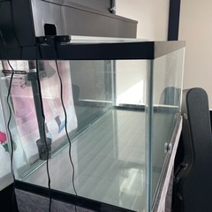値下げしました！！GEX 90センチ水槽中古 グランデ90、照明付き