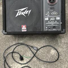 お買い得　Peavey Powered Monitor Speaker