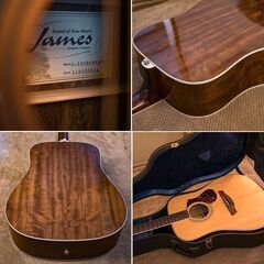 James J-500D エレアコ ハードケース James J-500D エレアコ ハードケース