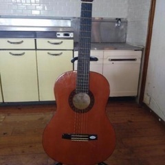 バレンシアクラシックギターCG-160