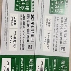 琉球海炎祭チケット　2枚セット