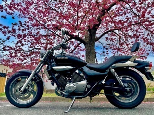 エリミネーター250v