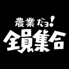 山登り自信ある方