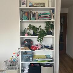 IKEA BILLY bookshelf