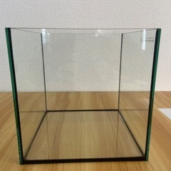 【ネット決済】25cmガラス製水槽(LEGLASS KOTOBUKI)