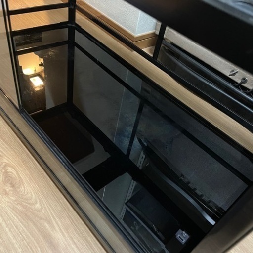 その他 【売済】パンテオン ブラック BK9045 三晃商会(SANKO)