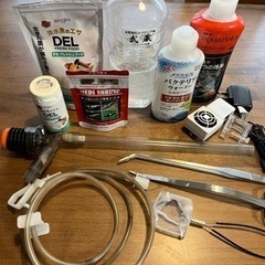 【大特価】憧れのブランドADAの水槽フルセット　初心者でも安心全て揃ってます　レッドビーシュリンプ５０匹以上込み