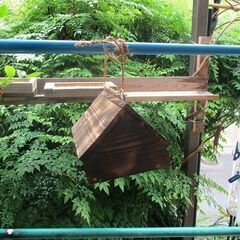 日本蜜蜂・西洋蜜蜂、分蜂の家　【ぶら下げて置くだけ・蜜蜂来ます】...