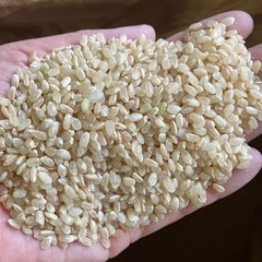 令和4年度埼玉産コシヒカリ100%玄米です‼️