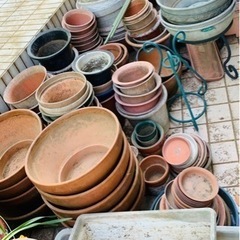 植木鉢(陶器、プラ)、鉢皿(陶器、プラ)、アイアンスタンド、支柱