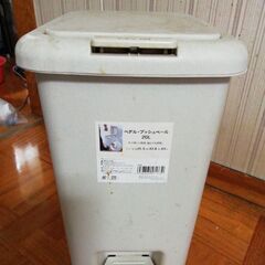 ゴミ箱★ペダル　プッシュペール20リットル★カインズ