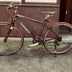 トレック TREK クロスバイクサイクリング