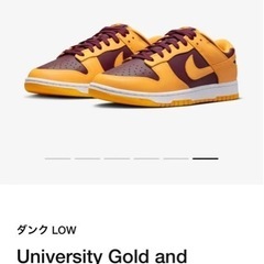 Nike dunk low University gold 27cm