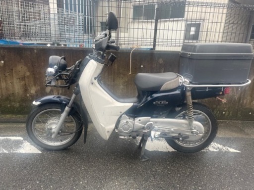 カブプロ110 カスタム　LED イカリング