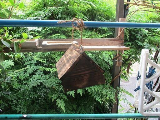 日本蜜蜂・西洋蜜蜂【分蜂の家＋誘引蜂来水500ｍｌ付き】ぶら下げて