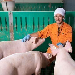 養豚生産管理スタッフ・マーケティングスタッフの募集