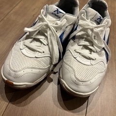 体育館シューズ　運動靴　フィットネス　25.5cm