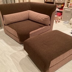 東京インテリア　洗えるカバー付のソファー