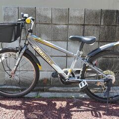 子供自転車22インチ　ドライド