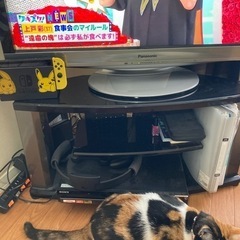 【無料】テレビ台