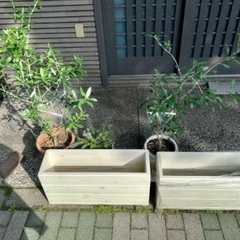 ✦予約済✦2 木製スリムプランター 白 ホワイト1台✦60x19x30cm 容量22L