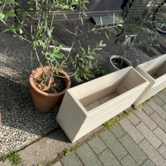 ✦予約済✦1 木製スリムプランター 白 ホワイト1台✦60x19x30cm 容量22L ✦予約済✦1 木製スリムプランター 白 ホワイト1台✦60x19x30cm 容量22L