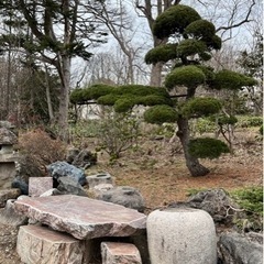 庭石や木などあります！