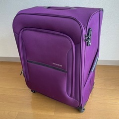 【訳あり】35L ソフトスーツケース