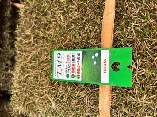 芝生 TM9 鹿児島産 8平米(約4.3畳) 4箱