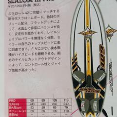 JP119 スラローム3 プロ 6.3キロ