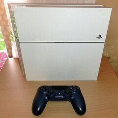 【ネット決済・配送可】PlayStation4 本体(おまけ付き)