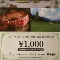値下げ　定山渓ビューホテル　割引券2000円分
