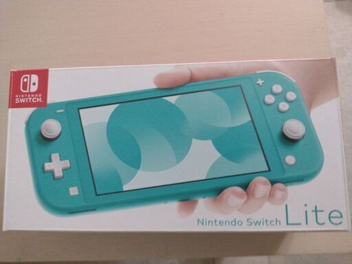 その他 nintendo switch lite