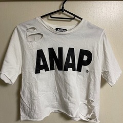 ANAP ロゴダメージクロップドTシャツ