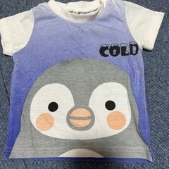 ペンギン　Tシャツ