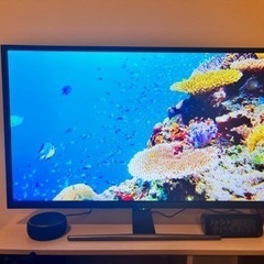 Hisense 2019年製 32型液晶テレビ 32E50