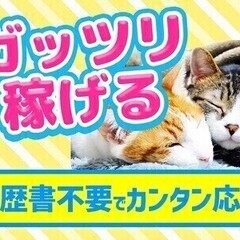 ★大募集！7月新工場OPEN★日勤のみの製造装置の組立！開始日相...