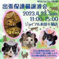 ねこけん千葉支部　保護猫譲渡会開催します🎵