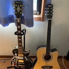 ギター2種類