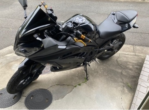 ニンジャ250