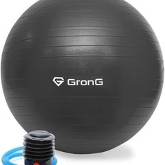 グロング GronG バランスボール 65cm 