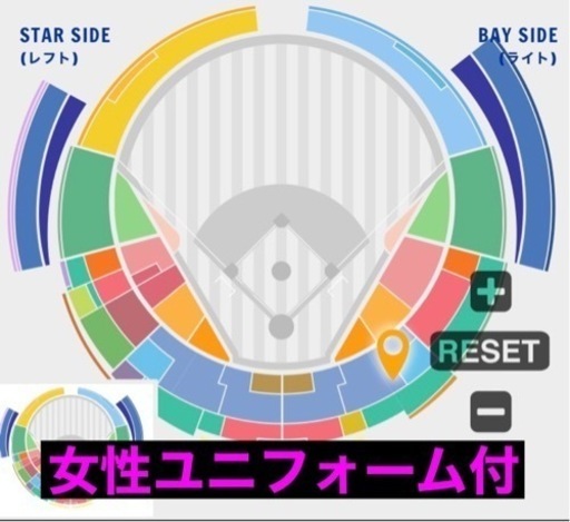 5月20日（土）内野指定席SS DeNA対ヤクルト