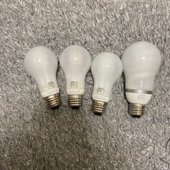 電球　蛍光ランプ