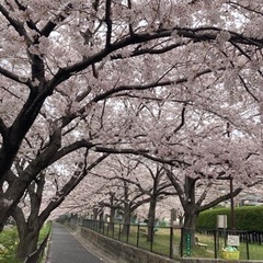 占い、霊障相談⭐︎初回1000円2回目以降2000円！時間制限な...