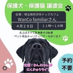 保護犬、保護猫　譲渡会