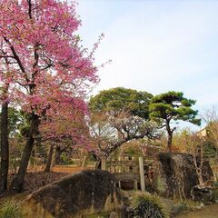 日本庭園で、藍の生葉染め体験【ランチ付きワークショップ】満員御礼！！